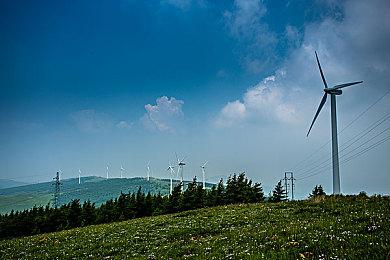 《最后的生还者》系列至今共推出了8个版本